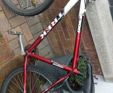 Trek with rock shocks