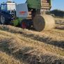 Hay Image 2