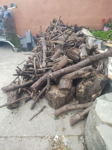 Free Fire Wood