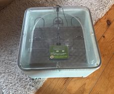 Breeding Incubator