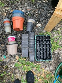 plant pots