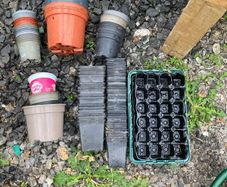 plant pots