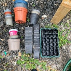 plant pots