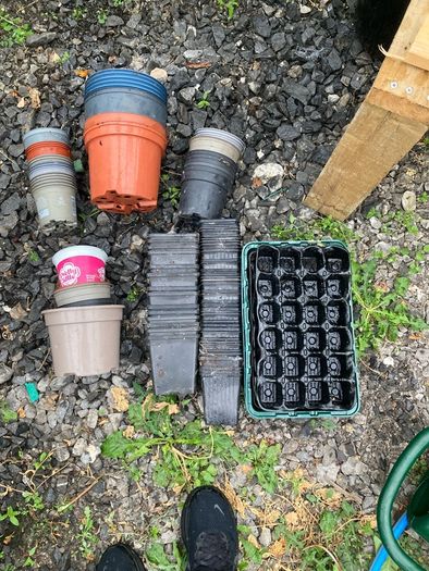 plant pots