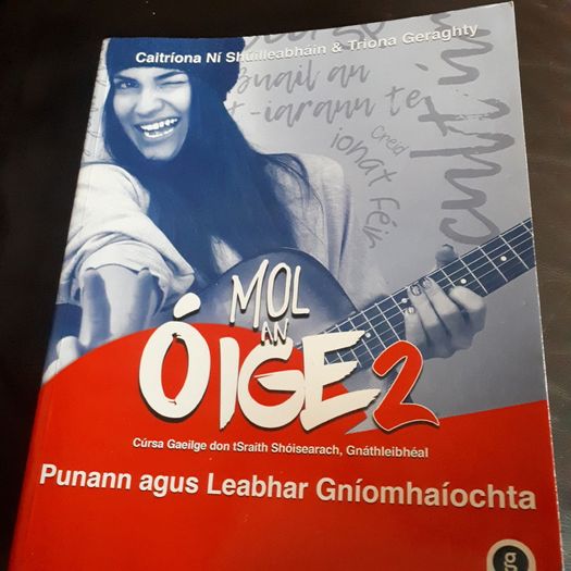 Mol an Oige 2, WORKBOOK ONLY, new, unused