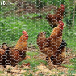 Chicken Wire Mesh Roll, Galvanized Hexagonal Wire Mesh Fencing, Wire Poultry Netting, 1m x 50m, Hole Size: 25mm, Silver