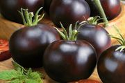 (T) Tomato Blackball seeds 0.1g (111220)
