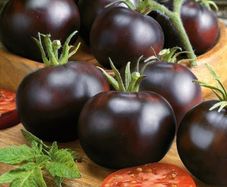 (T) Tomato Blackball seeds 0.1g (111220)