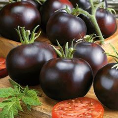 (T) Tomato Blackball seeds 0.1g (111220)