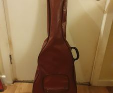 guitar case wine in colour