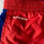 North Face Shorts Image 4
