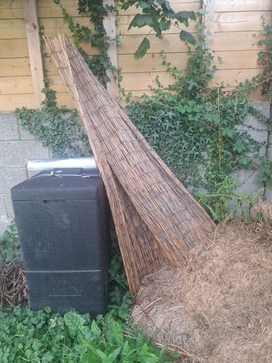 bamboo screens