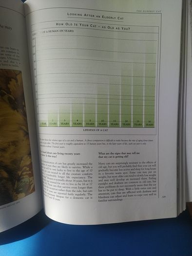 Giant Book of the Cat