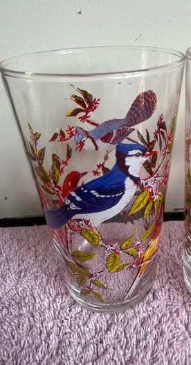 Vintage Set of 1960's Arcoroc Luminarc Exotic Bird Tumblers