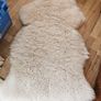 4 Sheepskin Rugs Image 2