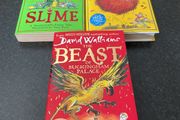 David Walliams  books  3