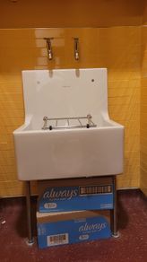 Armitage Shanks Birch Cleaners and Laboratory Sink