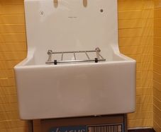 Armitage Shanks Birch Cleaners and Laboratory Sink
