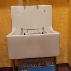 Armitage Shanks Birch Cleaners and Laboratory Sink