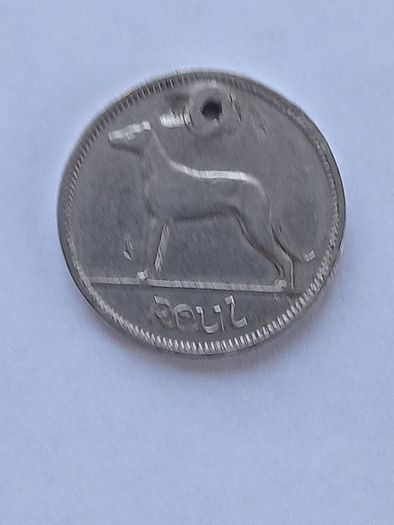 Holed Irish Coin