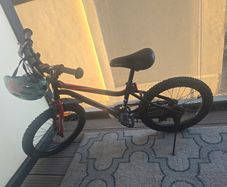 kids bike chipmunk with helmet