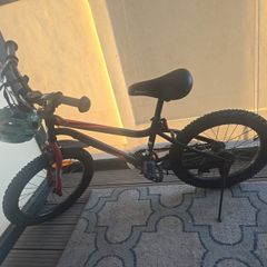 kids bike chipmunk with helmet