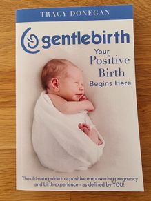 Gentle Birth Book