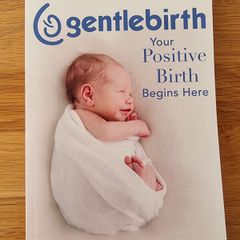 Gentle Birth Book