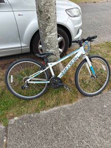 Carrera 26" bike