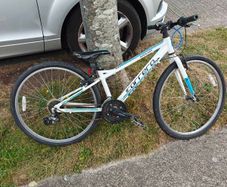 Carrera 26" bike