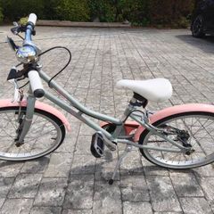 Girls Bike 20" 6 - 9 Yr old Pendleton Hanberry