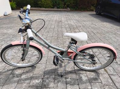 Girls Bike 20" 6 - 9 Yr old Pendleton Hanberry
