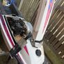 Kawasaki 550 SX/JS jet ski Image 6