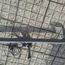 towbar Image 3