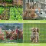 Plastic Garden Fence Animal Barrier, 1 x 20M [Heavy Duty] Outdoor Safety Temporary Fence Plastic Fencing Roll with 30Pcs Cable Ties, Reusable Netting for Construction Rabbits Chicken Lawn (Green) Image 4
