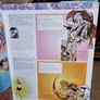 DK the DC comics encyclopedia updated and expanded edition Image 4