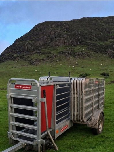 Portayards For Handling Sheep
