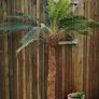 Artificial palm tree Image 4