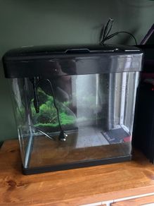 Betta 47L fish tank