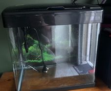 Betta 47L fish tank