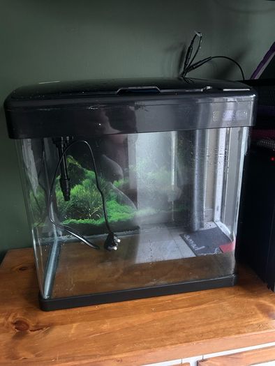 Betta 47L fish tank