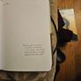The Royal Horticultural Society Journal.  By Mitchell Beazley. Beautiful Illustrated Hardback Journal Of Month By Month Managment Of Your Allotment.  In Good Condition.  See Photos For Same. Image 8