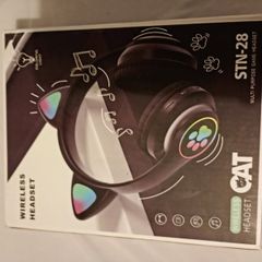 Cat headphones (wireless)