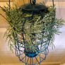 Bird feeder Image 6
