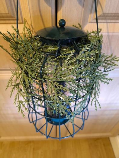 Bird feeder