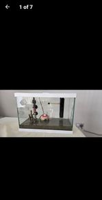 Fish tank