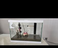 Fish tank