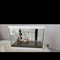 Fish tank