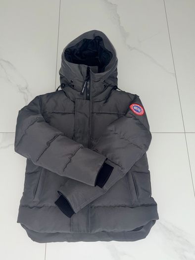 Canada goose