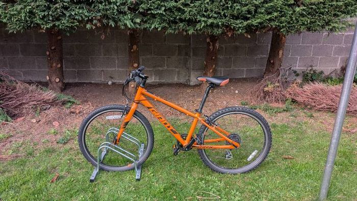 Giant Arx 24 kids bike